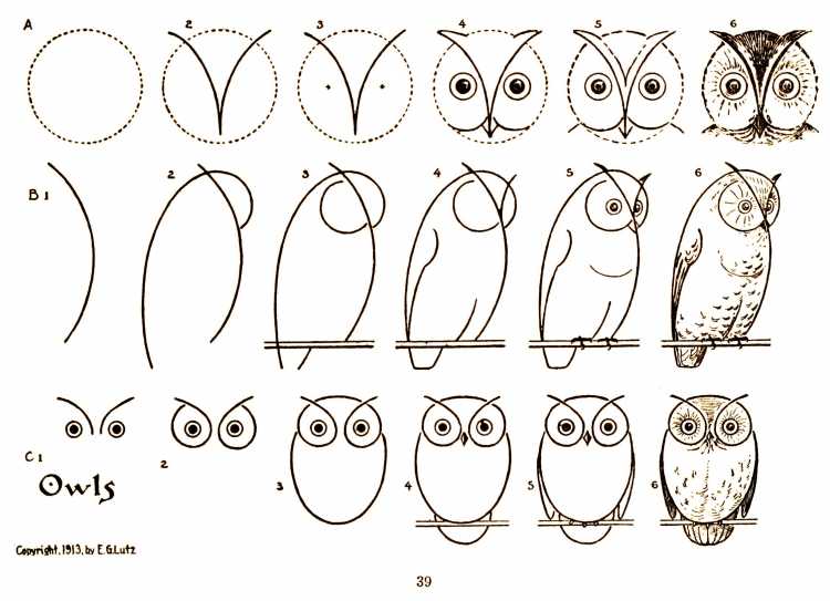 Рисунки Совы карандашом для начинающих