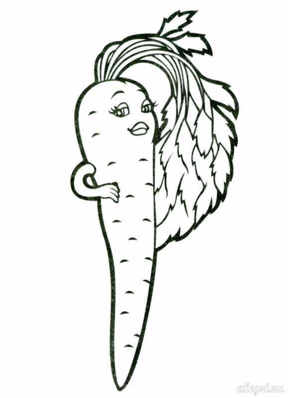 Раскраска овощ репа для детей