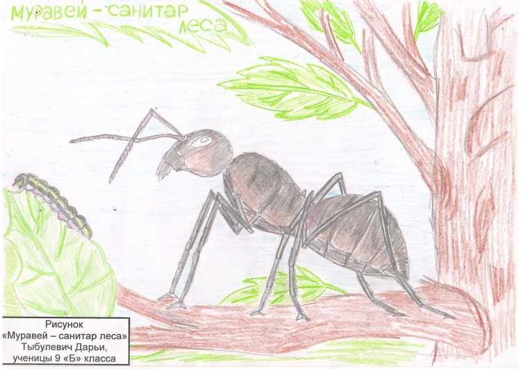 Муравей из басни Крылова