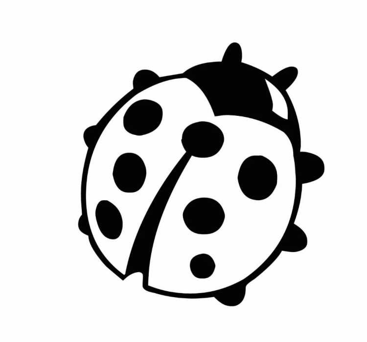 Божья коровка раскраска для малышей