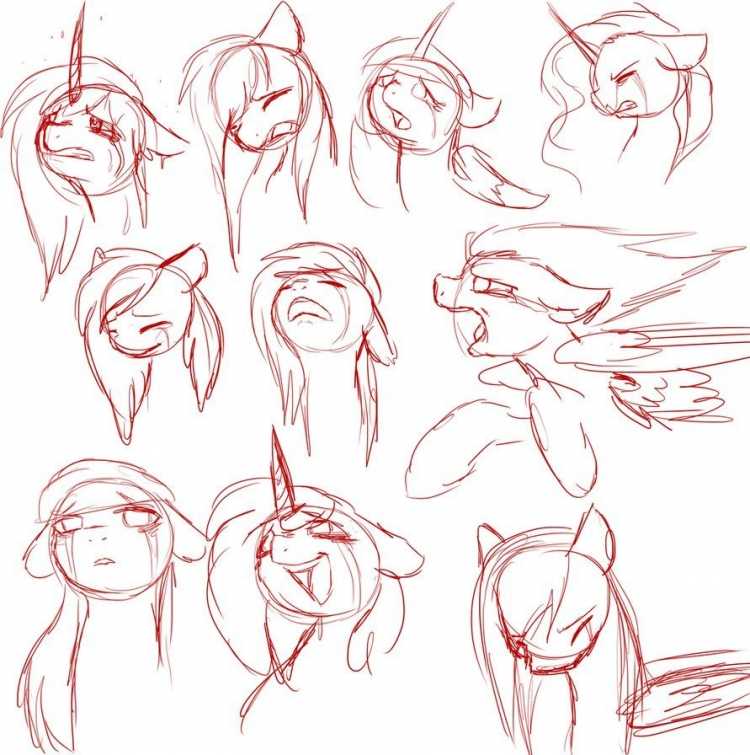 Анатомия пони референс