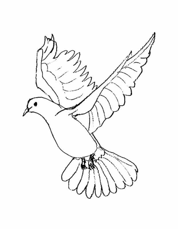 Голубь мира раскраска