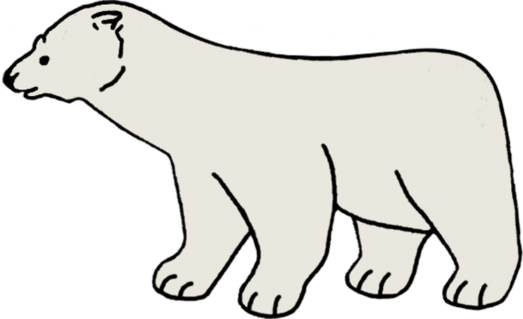 Контур белого медведя для детей