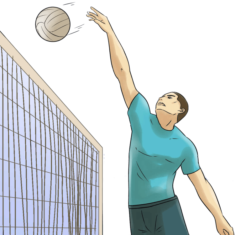 Волейбол рисунки