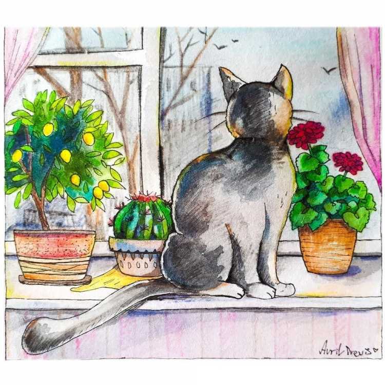 Кошка на окошке рисование