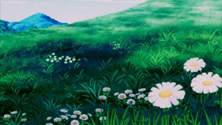 Цветочное поле аниме