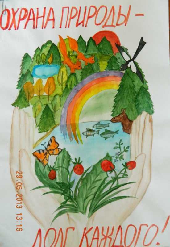 Плакат защита природы