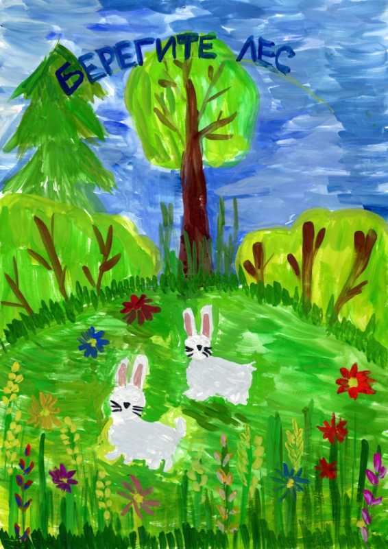 Мир заповедной природы конкурс