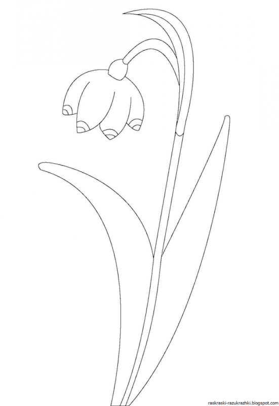 Подснежник для детей