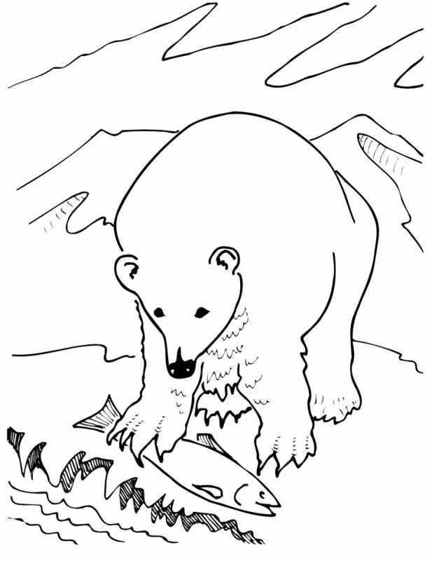 Белый медведь контур