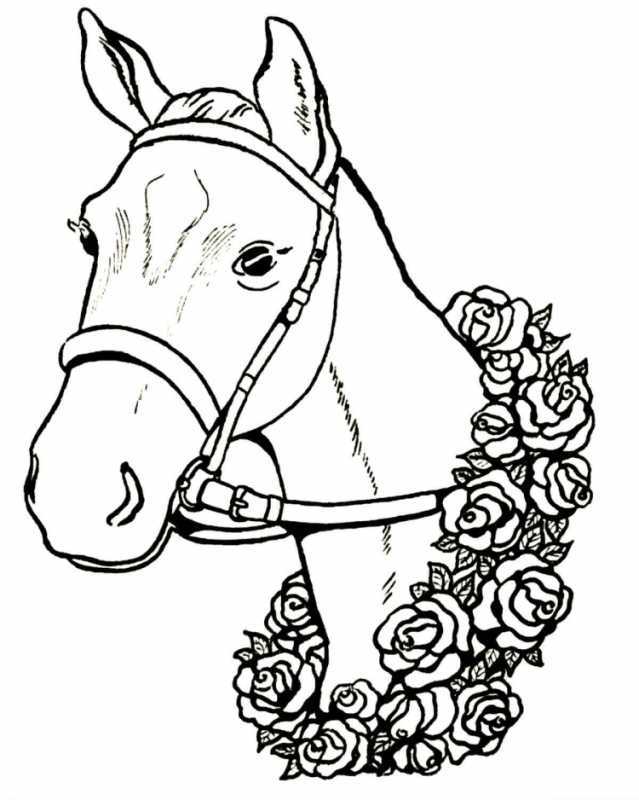 Раскраска лошадь с красивой гривой