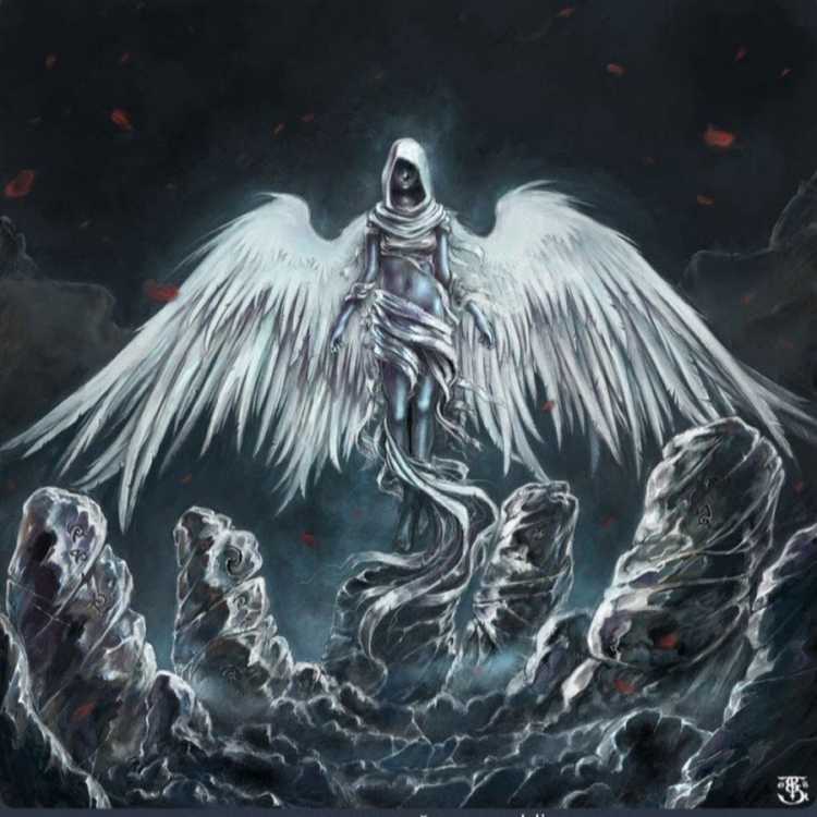 Скелет бабочки рисунок