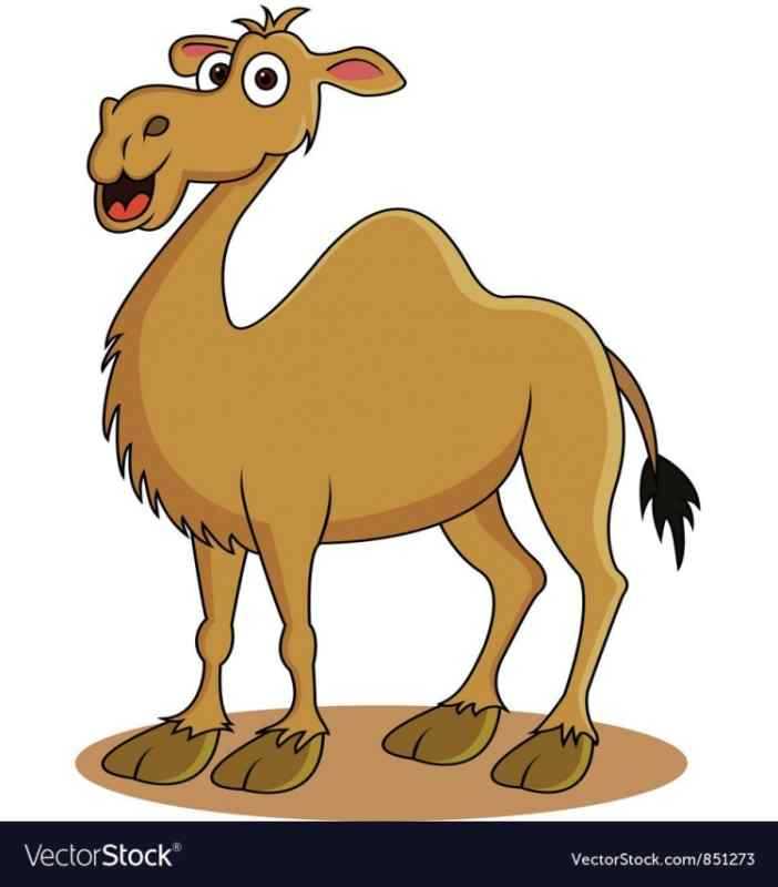 Верблюд и верблюжонок мультяшный