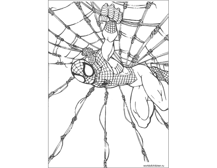 Человек паук раскраска