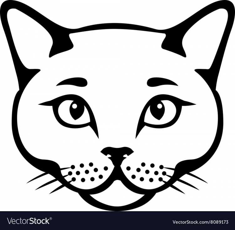 Морда кошки трафарет