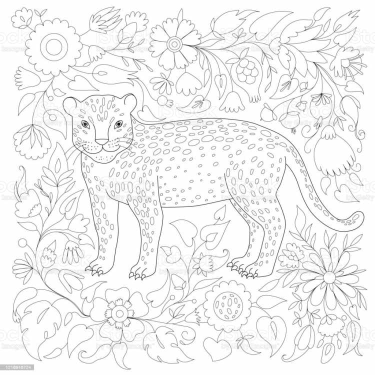 Гепарды раскраска детеныш