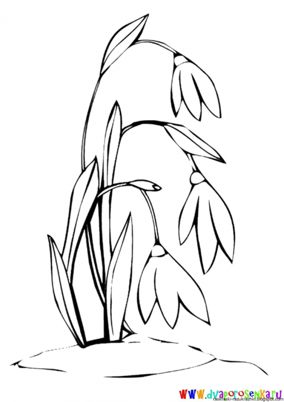 Подснежники мультяшные