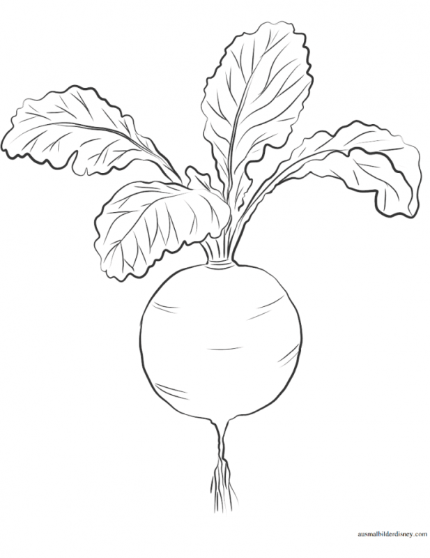 Раскраска Репка овощ