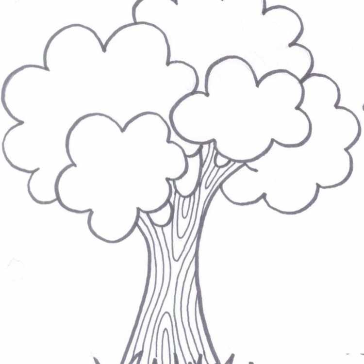 Контур дерева для детей