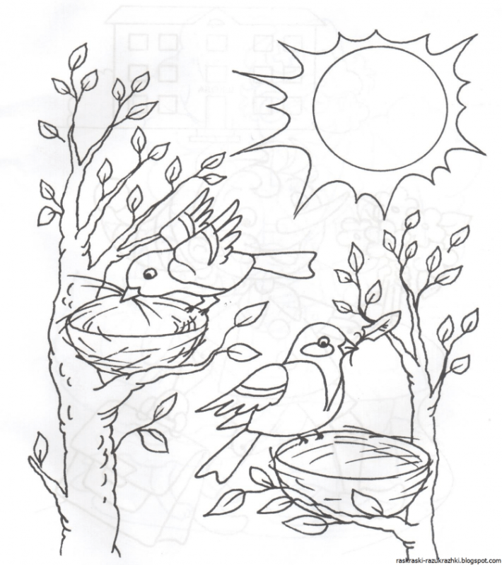 Раскраска. Весна