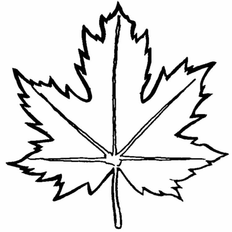 Листья раскраска