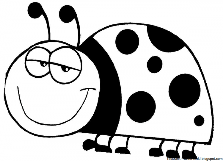 Божья коровка раскраска