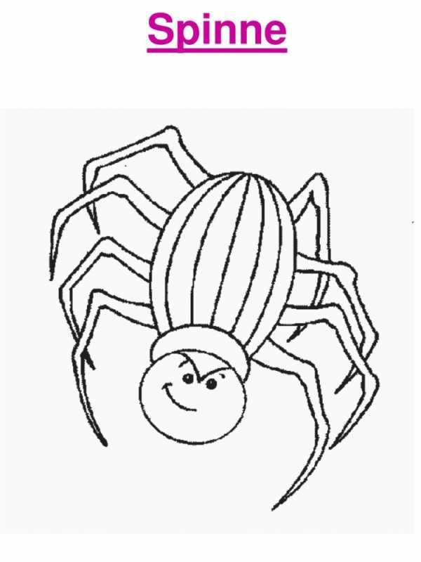 Raskraska для детей Spider man