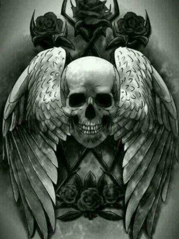 Скелет бабочки для срисовки карандашом