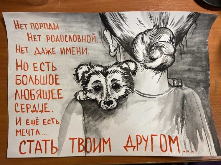 Приют рисунок