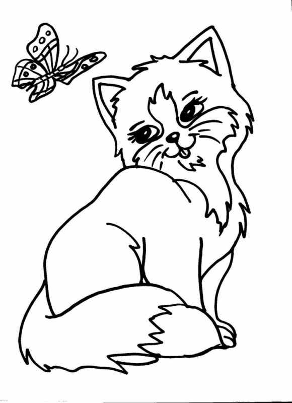 Котенок. Раскраска