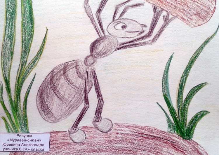 Муравей веселый срисовка
