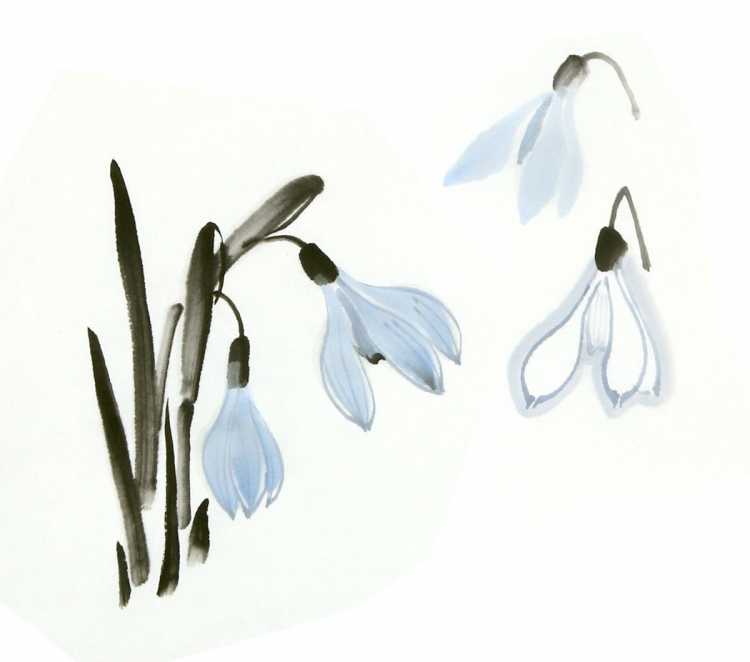 Рисование подснежников акварелью