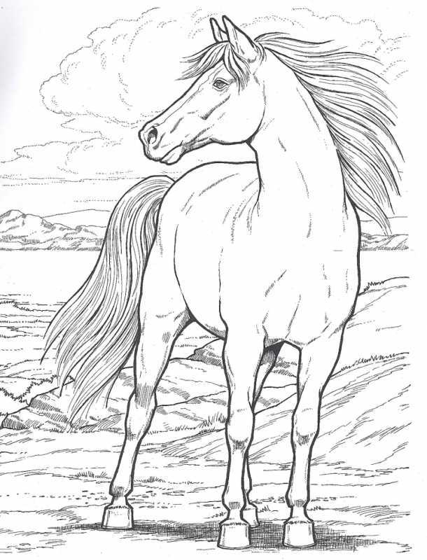 Раскраска. Лошадка
