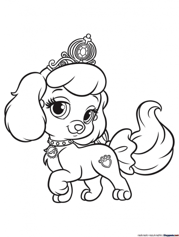 Раскраска собачка с цветами