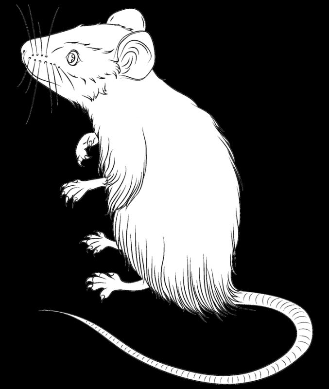 Шаблон мышки