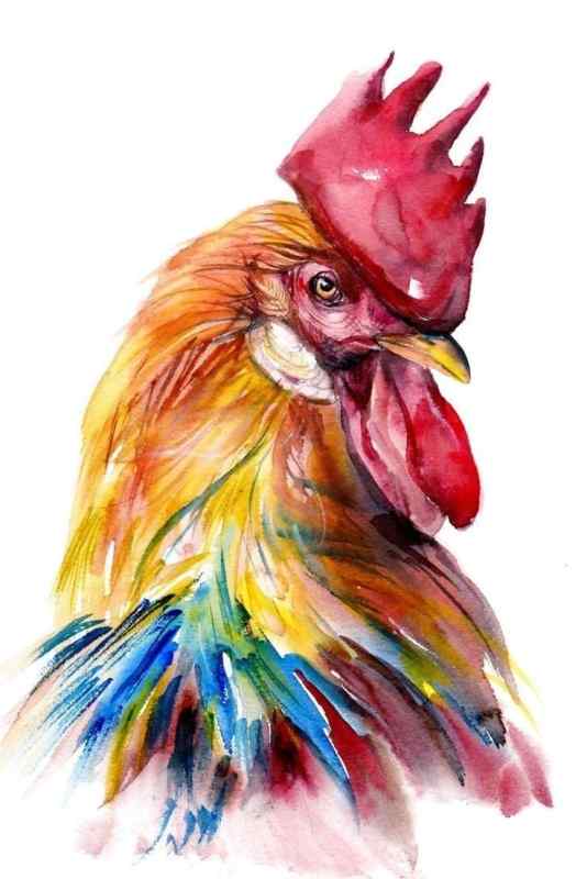 Акварель Петушки