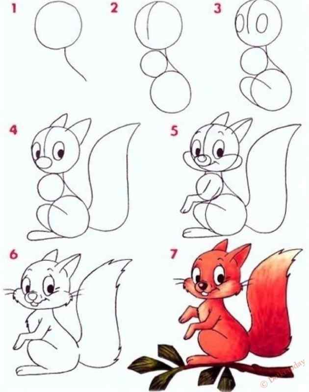 Как нарисовать белку поэтапно для детей