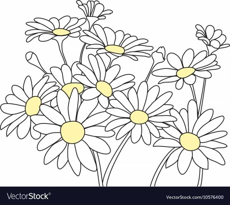 Ромашка трафарет для вырезания