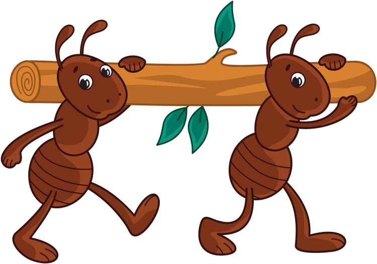 Муравей раскраска