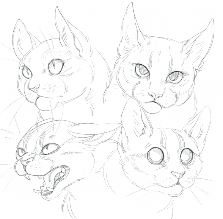 Морда кота сбоку референс