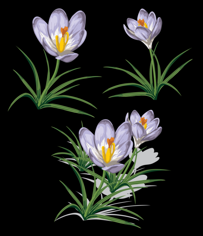 Нарисовать Подснежник 2 класс