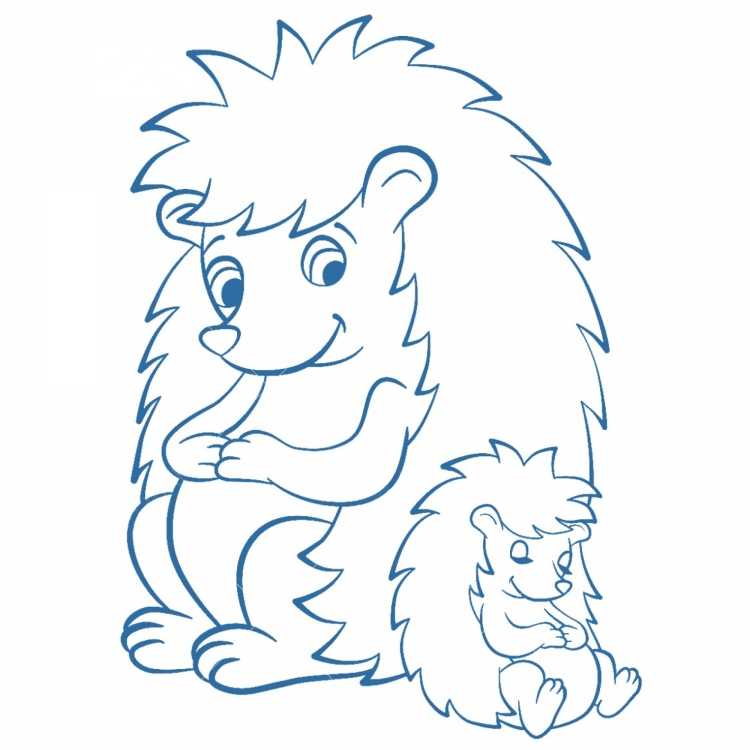 Ёжик раскраска для детей