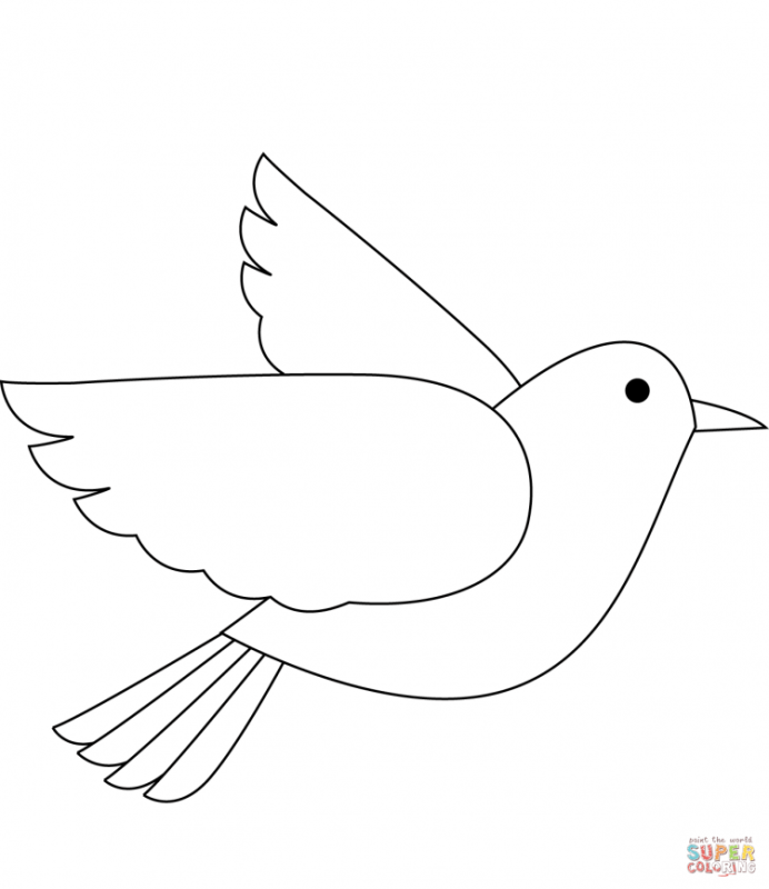 Голубь раскраска