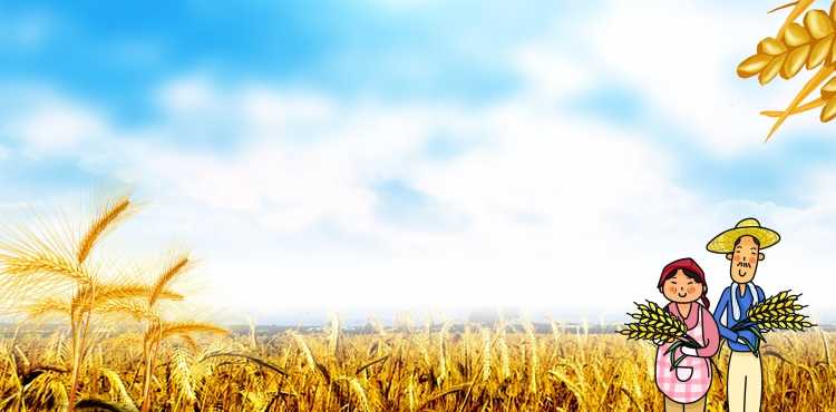 Фон для баннера сельское хозяйство