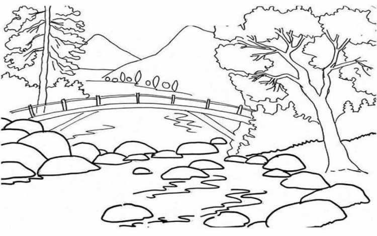 В лесу. Раскраска