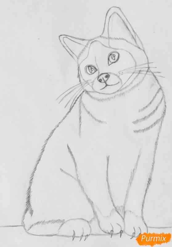 Рисование кошки