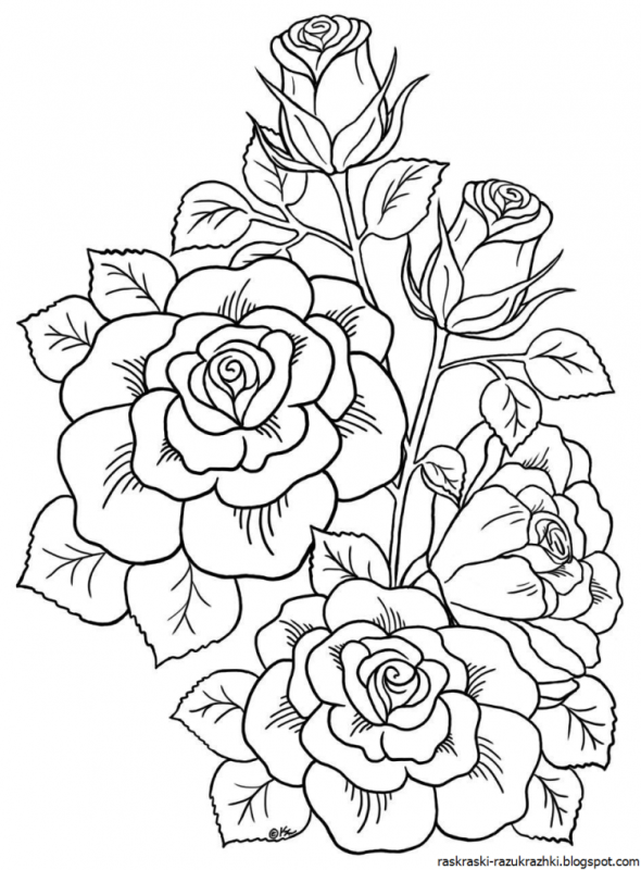 Раскраска антистресс в цвете