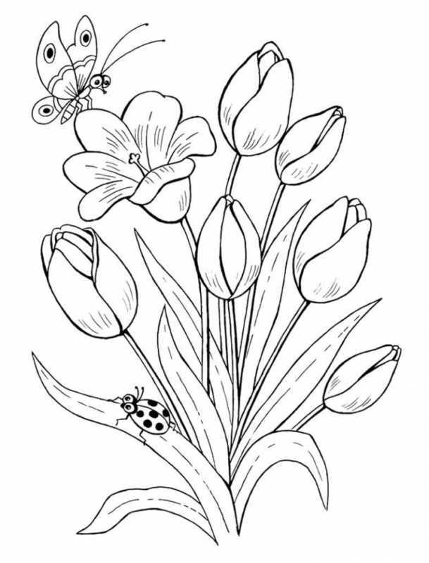 Раскраски цветочные композиции