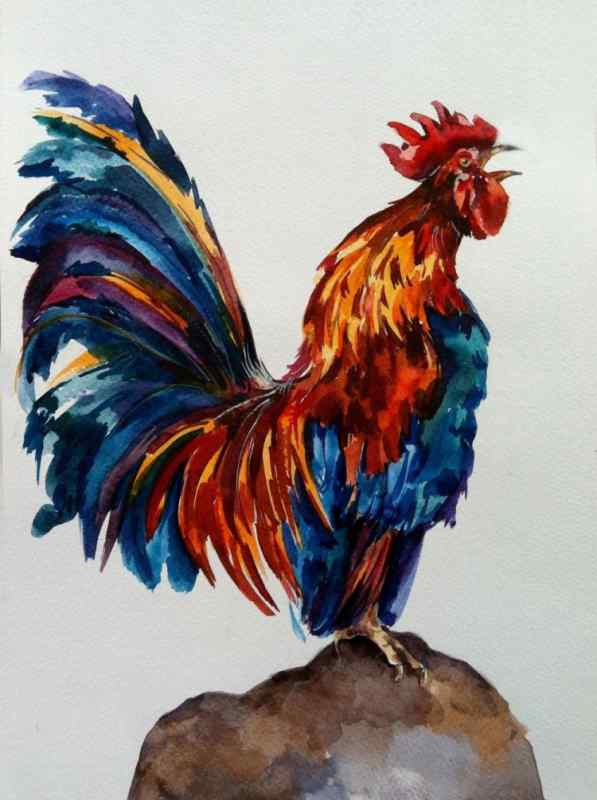 Разноцветный петух