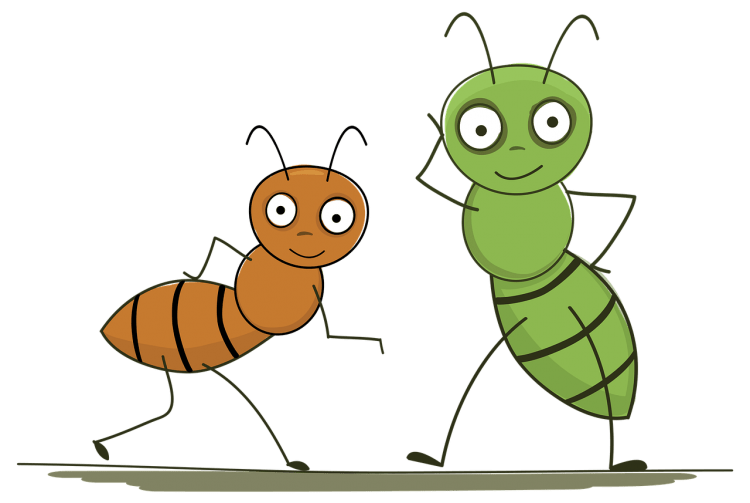 Наклейка - муравьи